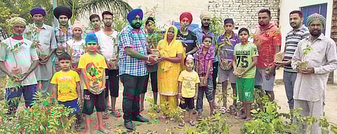 Each village of the state has 550 saplings planted on non-forest land.| Express