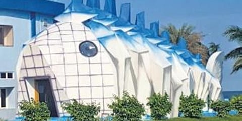 The museum near Barkul in Chilika