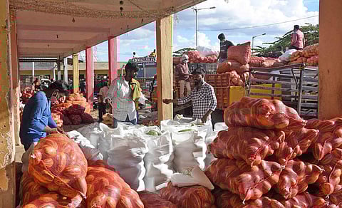 Workers load vegetables on to inter-state trucks at APMC Yard in Bandipalya of Mysuru. (Photo | Udayshankar S, EPS)