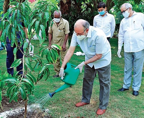 LG Anil Baijal waters a sapling at launch of tree plantation drive on Monday (Photo | EPS)