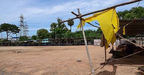 Temporary market at Uzhavar Sandai grounds in Anna Nagar closed after seven traders tested positive for COVID. (Photo| EPS/ MK Ashok Kumar)