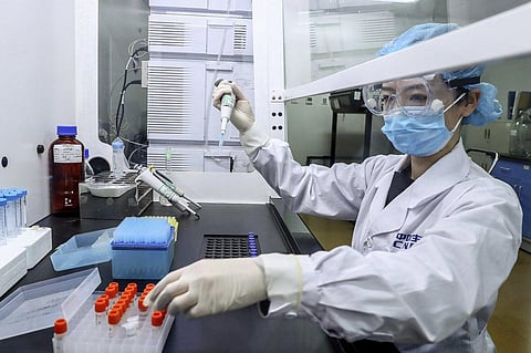 A staff member tests samples of a potential COVID-19 vaccine at a production plant of SinoPharm in Beijing (Photo | AP)