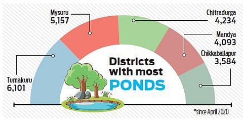 Karnataka to get 56k farm ponds in over 3 months