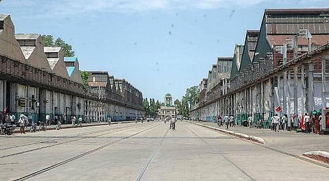 Lives or Livelihood: Dilemma