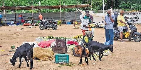Traders conducting business at the Uzhavar Santhai market in Tiruchy on Friday afternoon | M K Ashok Kumar