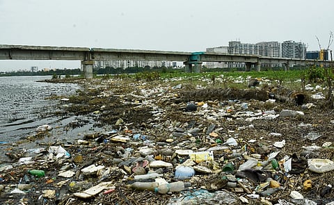 Plastic debris pile up near Adyar estuary. One heavy spell of rainfall would flush this entire debris into the sea. (Photo | EPS/Ashwin Prasath)