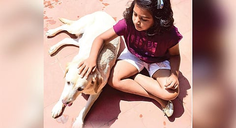 Don’t behave like a beast with animals