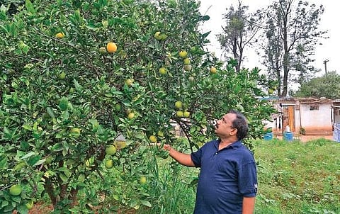 Venkat gets back to his farm on a wet day to figure out how he will do the logistics for a corporate bank’s customers as part of their alliance partners programme.