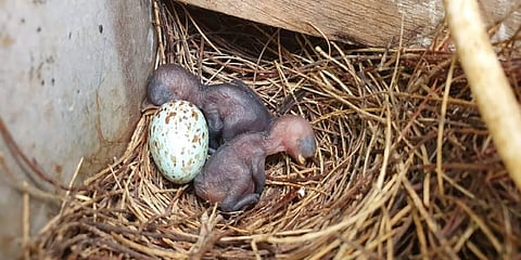 In this darkness, shines a sliver of humanity