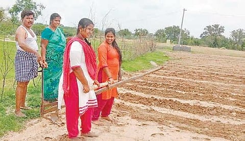 Daughters plough field to keep dad from giving up on farming