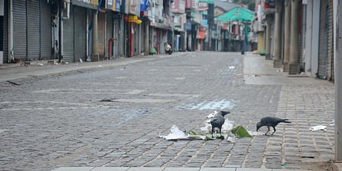 Due to complete lockdown to control COVID-19 spread in Kerala, SM street in Kozhikode is completely empty. (Photo| Manu R Mavelil, EPS)
