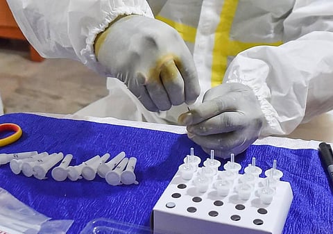 A medic arranges samples for COVID-19 rapid antigen testing. (Photo | PTI)