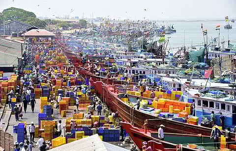 Mangaluru fishing harbour