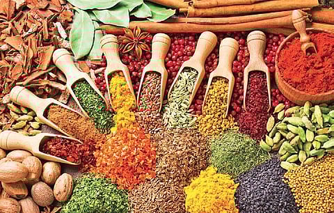 Our body requires an optimal dose of food and medicines to function healthily.