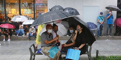 Protesters wearing face masks hold umbrellas in the rain during a rally against the government in Seoul, South Korea. (Photo | AP)