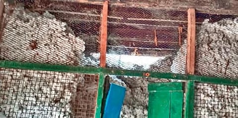 Cotton stock kept in a house due to less demand in Anantapur district. (Photo | EPS)