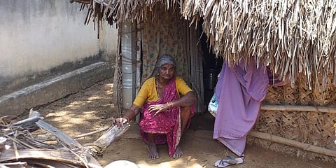 G Sarathambal in a state of gloom after her savings were stolen by a group of monkeys. (Photo| EPS)