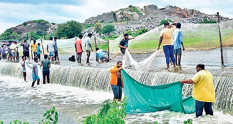 People catch fish using nets from an overflowing lake at Kamanpur area in Karimnagar district on Tuesday