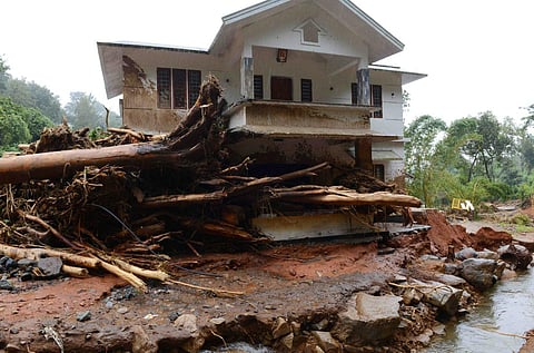 The wood logs accumulated in front of a house during landslide at Mundakai in Wayanad on August 7. (Photo | Express)