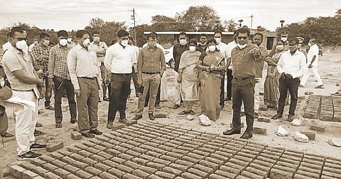 Success for Irulas after countless defeats