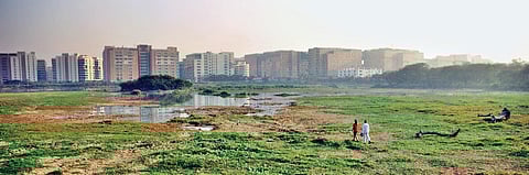 Saul Kere Lake in Bengaluru’s Sarjapur