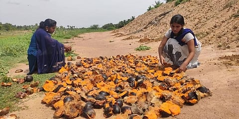 Holding the seed of a green future in the ‘palm’ of their hands