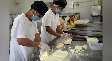 Cheese being packed for deliveries at Vallamborsa cheese shop. (Photo | Meghana Sastry, EPS)
