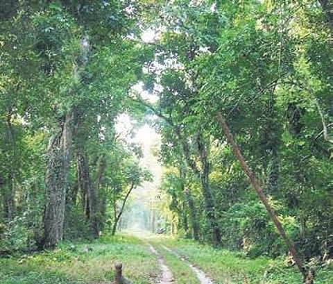 For representational purposes