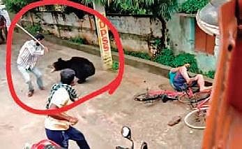 A video grab of man trying to scare away the bear in Bhawanipatna town