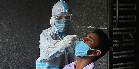 A health worker takes a nasal swab to test for COVID-19 in a government school. (Photo | AP)