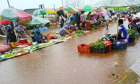 The rains came as a double whammy for vegetable growers who in May had suffered huge losses due to cyclone Amphan. (Photo | EPS)