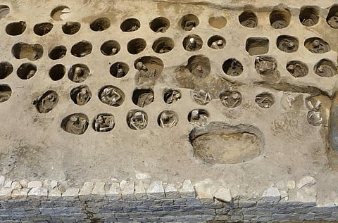 Human bones buried in holes at the south section of the 'Umeda Grave' burial site, in Osaka, western Japan. (Photo | AP)