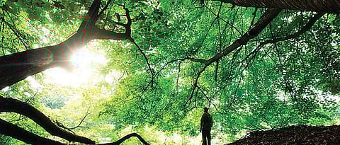 For representational purposes