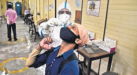 A health worker collects swab samples for Rapid Antigen test | PARVEEN NEGI