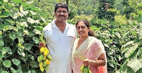 Shankaramurthy and his wife Chandana at their farm in Shivamogga district