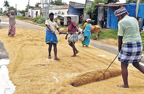 An official release said various steps taken by the State government, including introduction of precision farming and direct sowing techniques, have helped farmers | S Dinesh