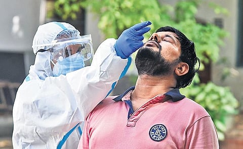 A healthcare worker collects a sample for coronavirus testing in Daryaganj | Parveen Negi