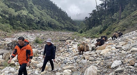CM Pema Khandu walking through forested areas so that he could meet his people, a nomadic tribe, in Luguthang village. (Photo | EPS)
