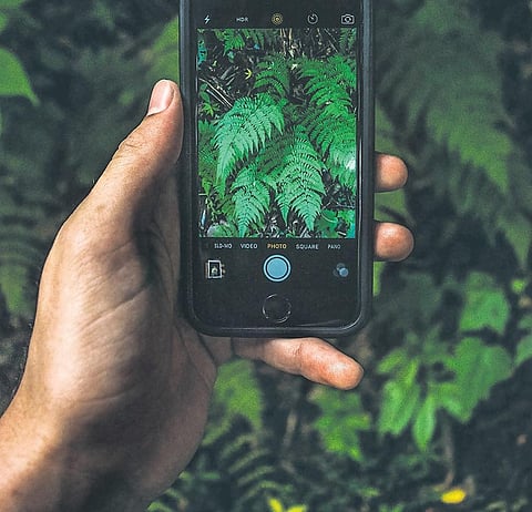 A growing number of apps are at hand to help us lead more sustainable lives.