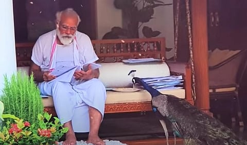 PM Narendra Modi with his pet peacock. (Photo | YouTube screenshot)