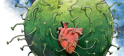 Autopsy specimens of hearts from patients who died of Covid-19 also showed similar findings of ‘cardiac muscle fibre carnage’.