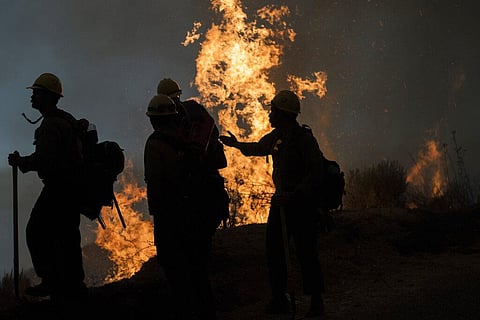 Firefighters monitor a controlled burn along Nacimiento-Fergusson Road to help contain the Dolan Fire near Big Sur, California. (Photo | AP)
