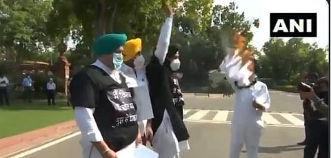 Congress MPs from Punjab, Ravneet Singh Bittu, Gurjeet Singh Aujla, Jasbir Singh Gill and Dr Amar Singh burnt copies of farm related bills, in Parliament premises. (Photo | Twitter)