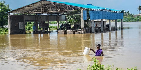 A woman carries a plastic bucket while crossing flood water of Daya river in Bhubaneswar on Tuesday. (Photo| Biswanath Swain, EPS)