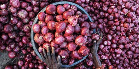 For representational purposes (File Photo | PTI)