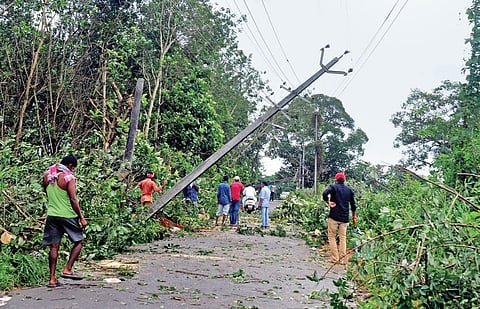 Local residents with the help of a few migrant workers clearing the uprooted trees from a road in teh village I A Sanesh