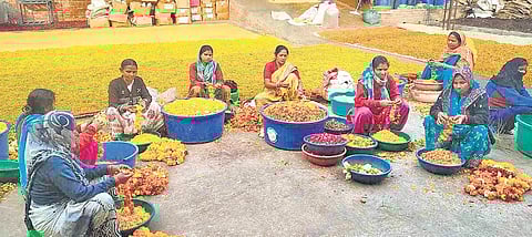 Flowercyclers at Phool.Co;