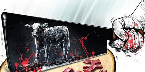 For representational purposes (Express Illustrations)