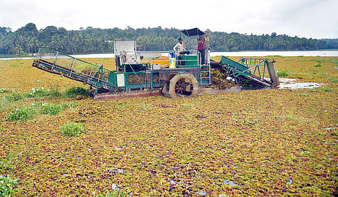 A mechanised weed harvester in action at the Vellayani Lake, which was done as part of phase I of the Revive Vellayani initiative. (Photo | Vincent Pulickal, EPS)