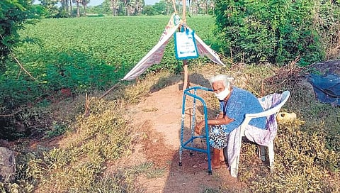 he 84-year-old partially-paralysed woman near the makeshift tent. (Photo| EPS)